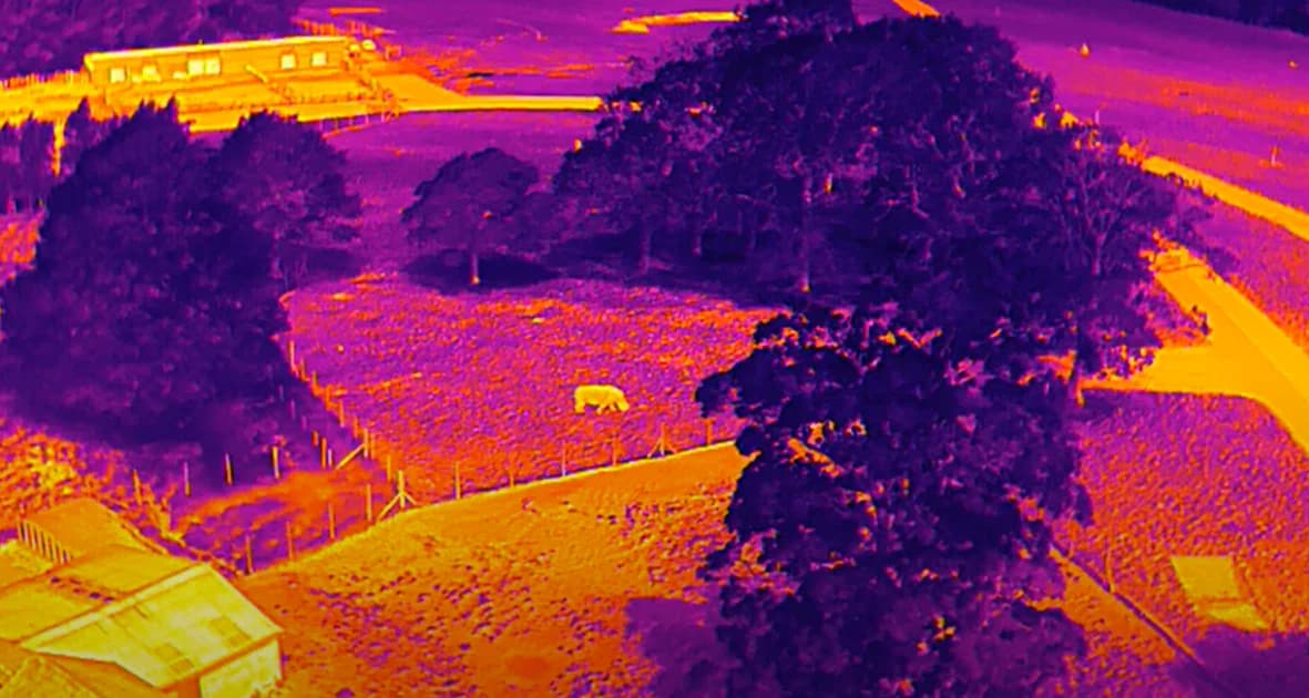 Thermal aerial view of a farm with trees and a bright animal heat signature.